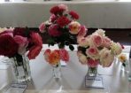 Flowshow_199300_05.jpg