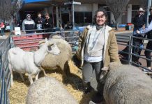 Our Year In Review: Jumpers and Jazz in July