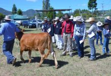 Killarney Show postponed