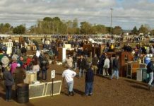 Allora Show Society announce show is cancelled