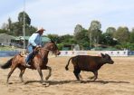 campdraft_255386_09.JPG