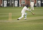 cricket_258557_01.jpg