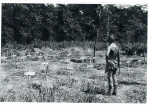 johntelfer_265198_01.PNG