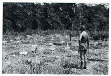 Captain Trevor Marcel Clowes 2/33 BATTALION A.I.F.