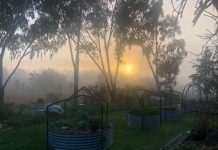 The best of Judy Barnet