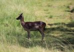 judy_264729_03.JPG