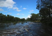 2021 Our Year in Review: Leslie Dam