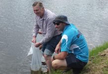 Severn River restocked after six years