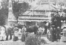 Stanthorpe in 1878
