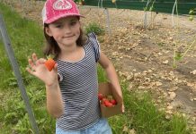 Anna goes apple picking