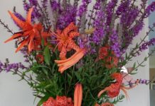 A few of my favourite things