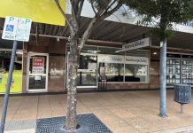 White spots appear on Warwick CBD trees