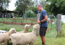 This week on the farm