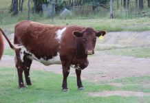 This week on the farm