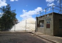 Dunny discussions at Council