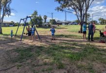 SDRC discuss parks optimisation