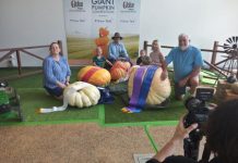 Local wins big at Ekka