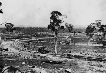 Stanthorpe in 1880