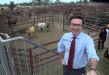Millions in funding announced for Southern Downs projects