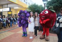 Apple and Grape Festival opening night