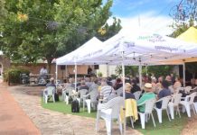 Paddock to Piazza day one