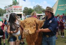 Fun at CelticFest 2022