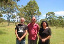 Music in piazza faces setbacks