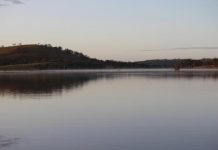 This week on the farm