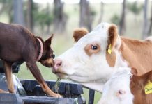 This week on the farm