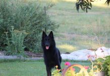 This week on the farm