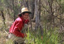 Kids connecting to country