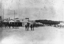 Stanthorpe in 1882