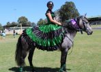 warshow_273574_02.JPG