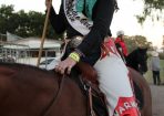 warshow_273574_08.JPG