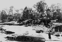 Stanthorpe in 1891