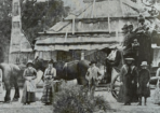 1894_276656_04.png