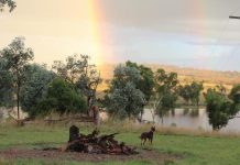 This week on the farm