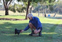 This week on the farm