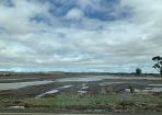 aftermath_281108_02.jpg