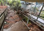 flood_281554_05.jpg