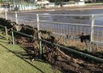 floods_281588_03.JPG