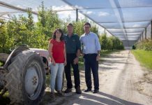 Horticulture funding netted for Queensland