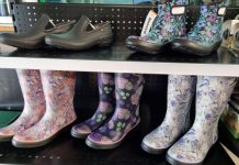 Olsen’s product of the month