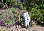 opengarden_277353_04.JPG