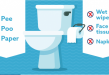 Please only flush the 3 Ps