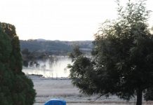 This week on the farm