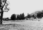 1930_293911_02.PNG