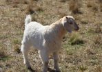 judy_293203_02.JPG