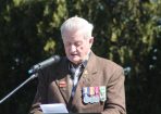 kvvet_294995_125.JPG