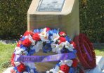kvvet_294995_169.JPG